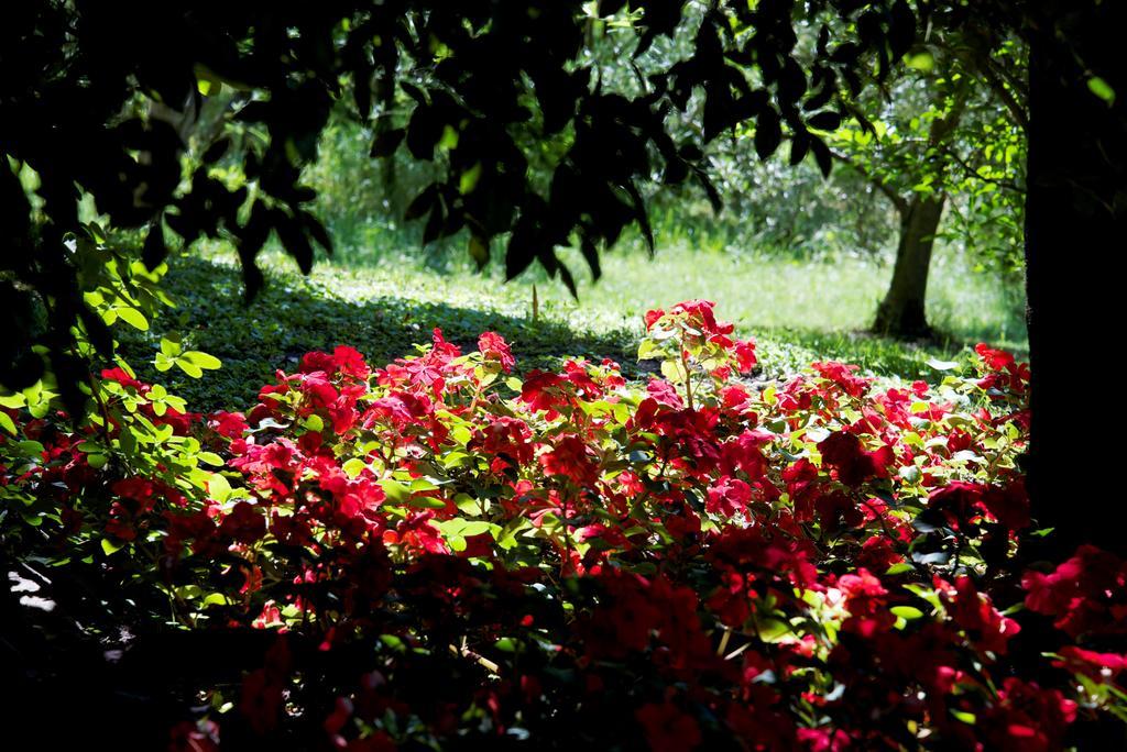 Hotel Tannerhof Merano Luaran gambar