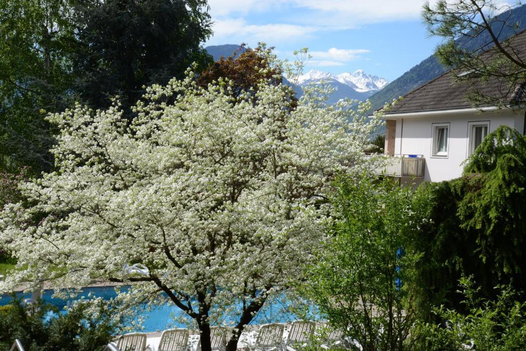 Hotel Tannerhof Merano Luaran gambar